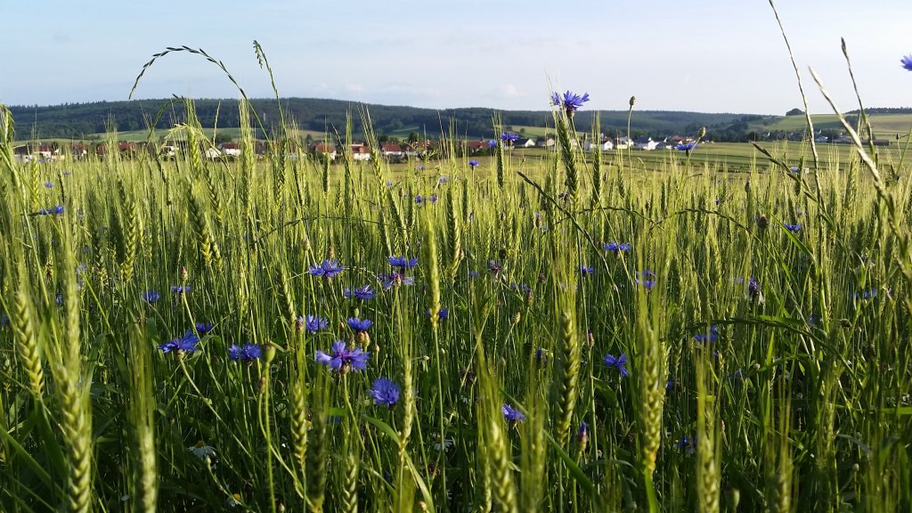 3. Poetenwanderung 2018